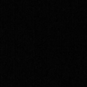 Meet your Posher, Riley